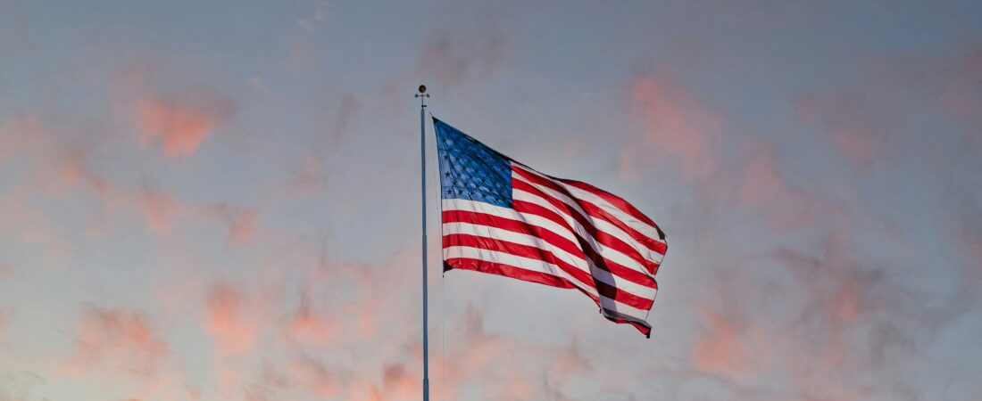 I Pledge Allegiance to the Flag